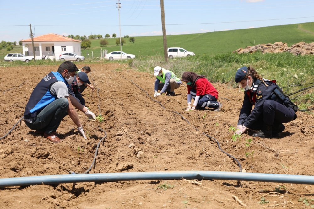 Haber Detay Görseli