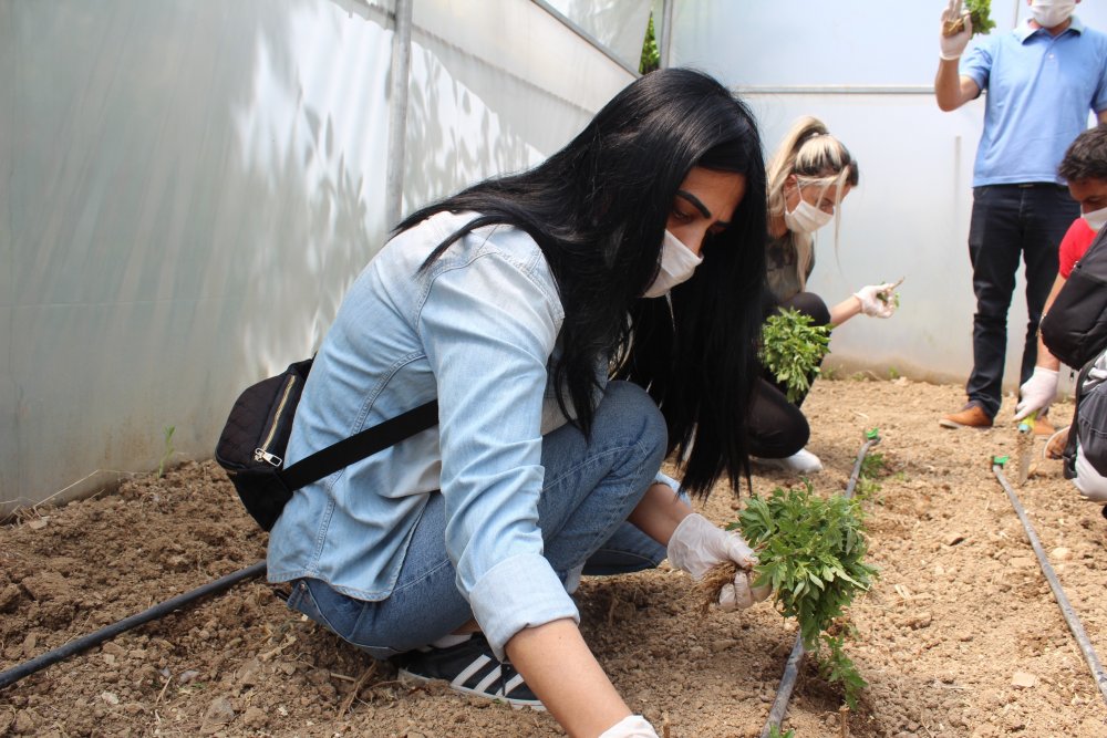 Haber Detay Görseli