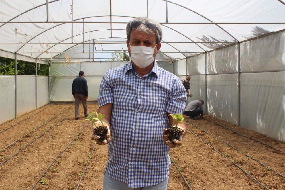 Haber Detay Görseli