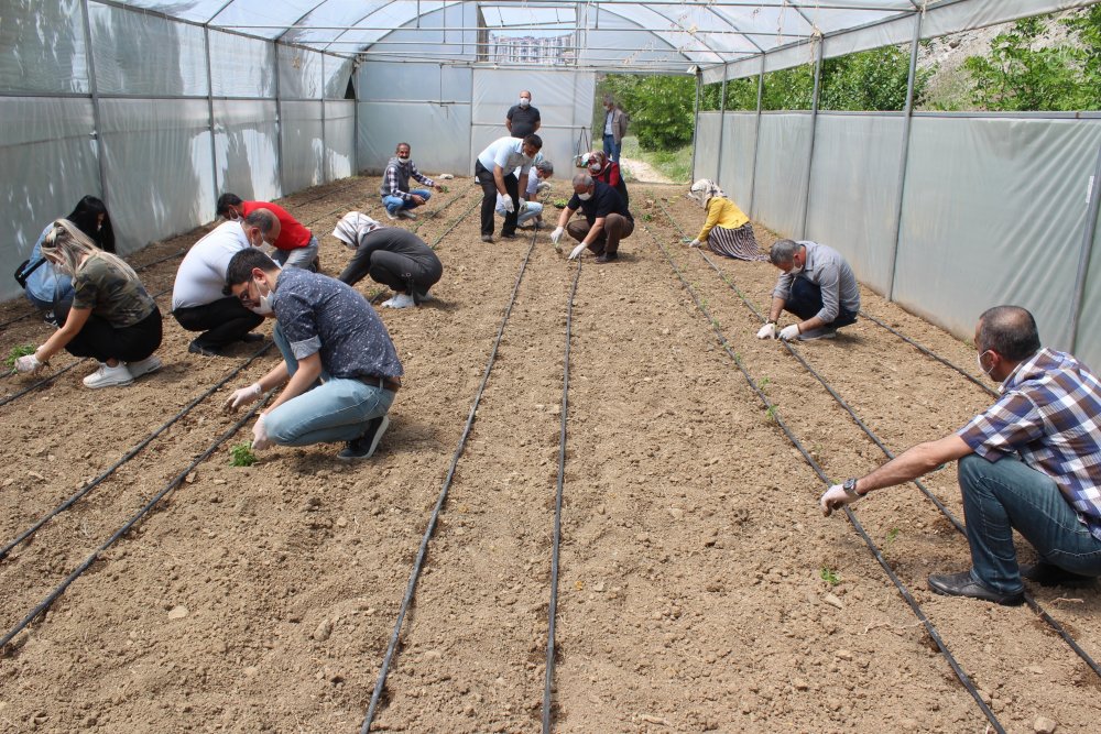 Haber Detay Görseli