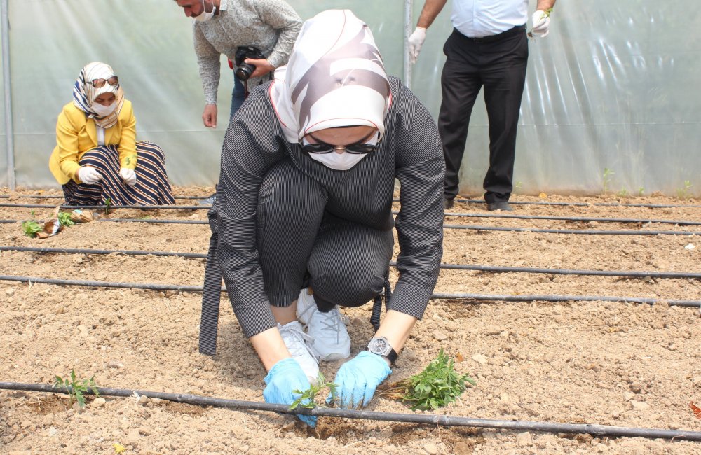 Haber Detay Görseli