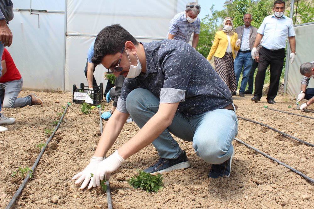 Haber Detay Görseli