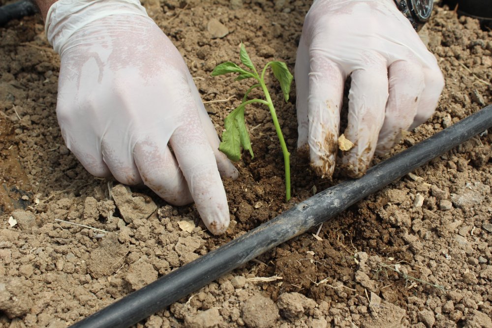 Haber Detay Görseli