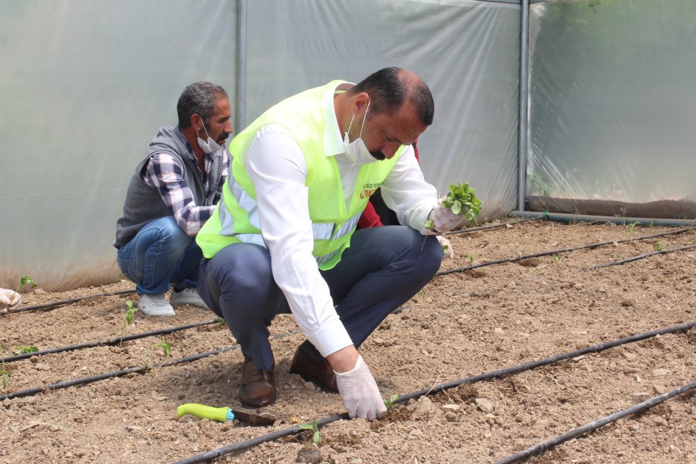 Haber Detay Görseli