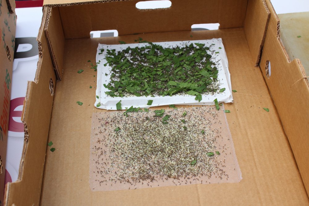 Haber Detay Görseli