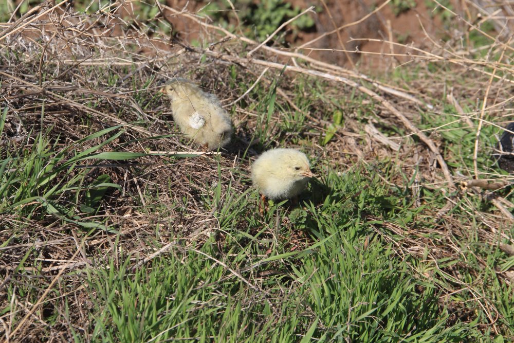 Haber Detay Görseli