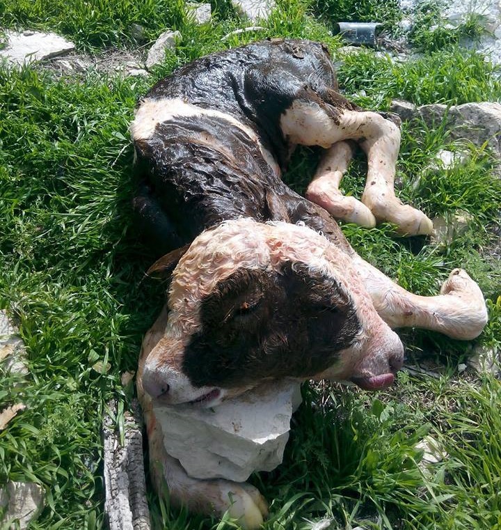 Haber Detay Görseli