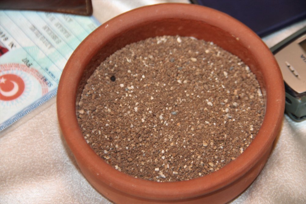 Haber Detay Görseli