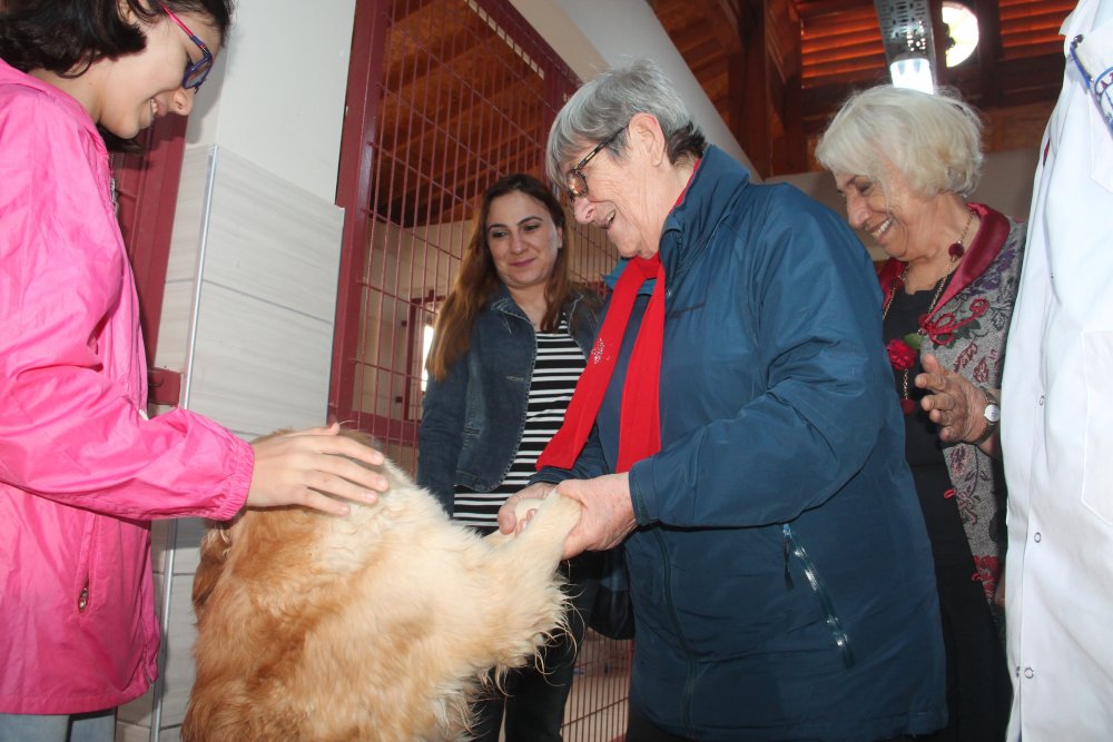 Haber Detay Görseli