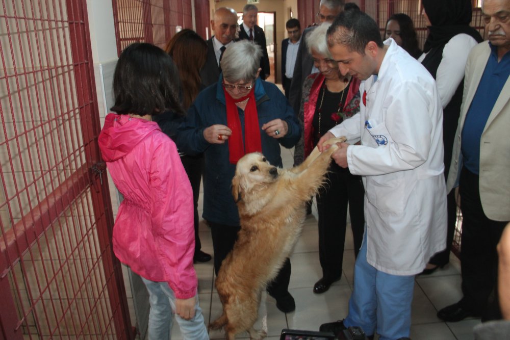 Haber Detay Görseli