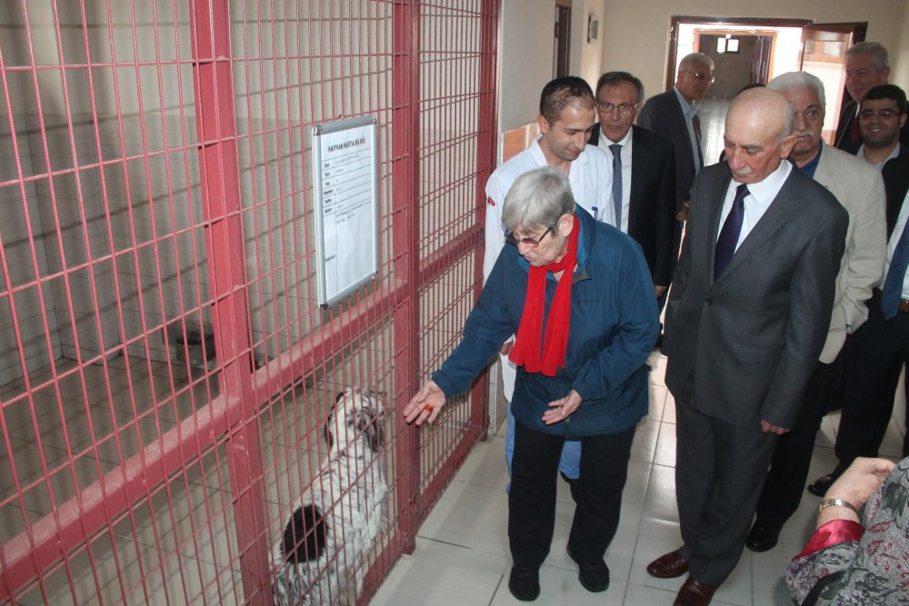 Haber Detay Görseli