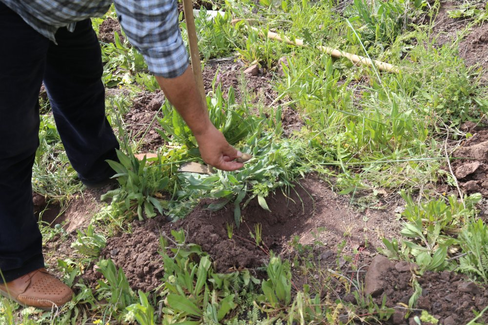 Haber Detay Görseli