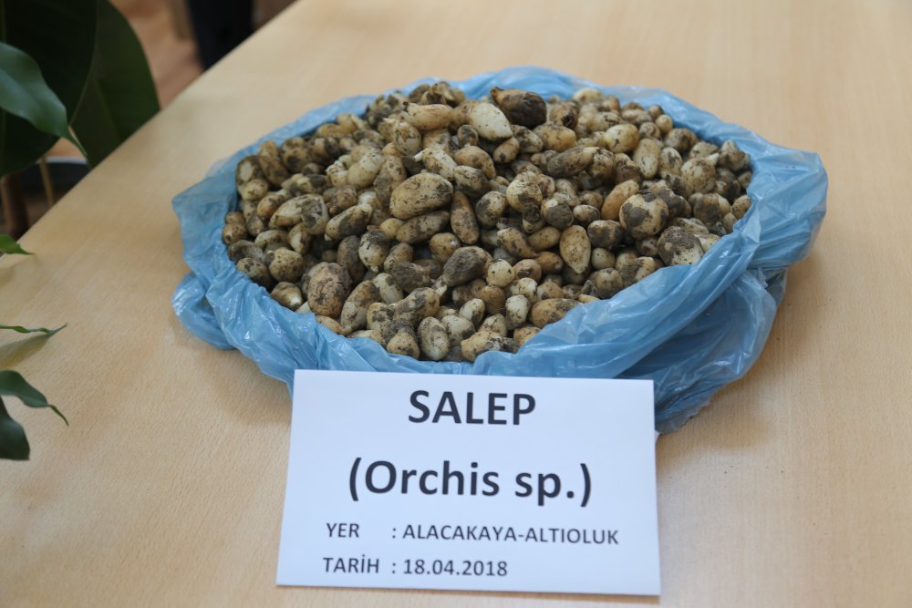 Haber Detay Görseli