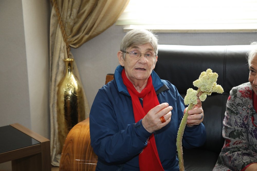 Haber Detay Görseli