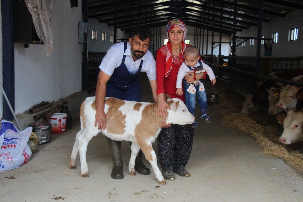 Haber Detay Görseli