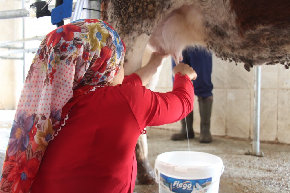 Haber Detay Görseli