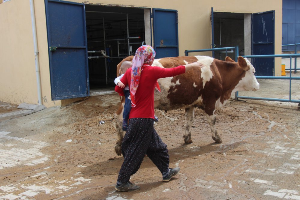 Haber Detay Görseli