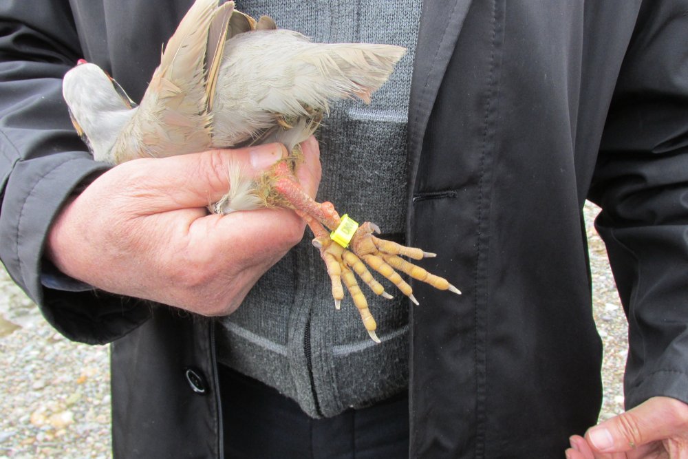 Haber Detay Görseli