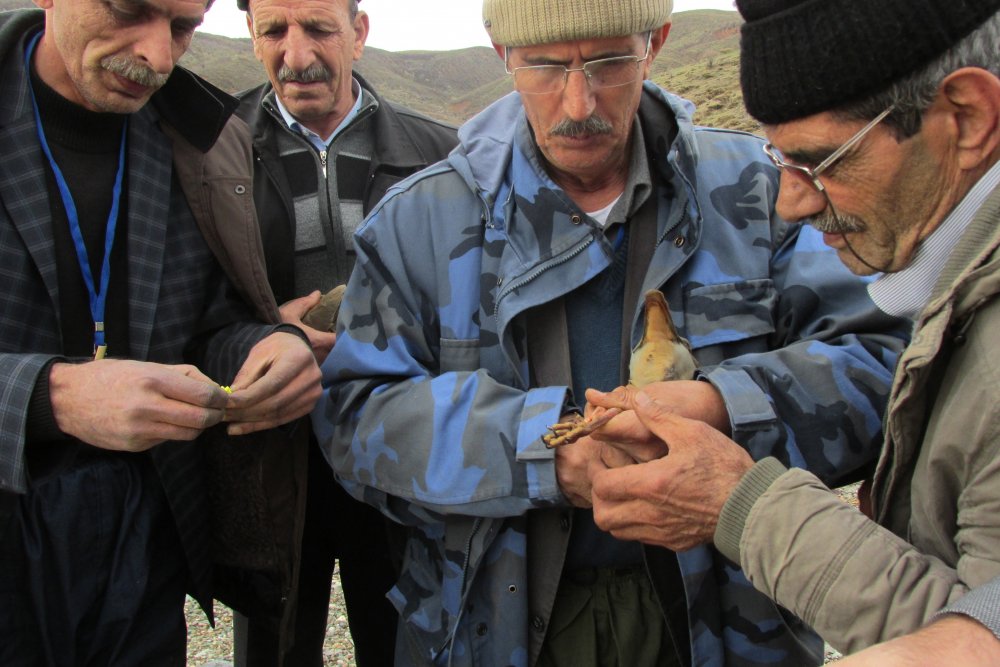 Haber Detay Görseli