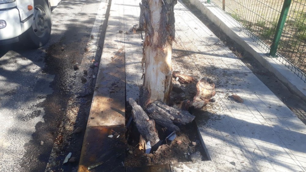 Haber Detay Görseli