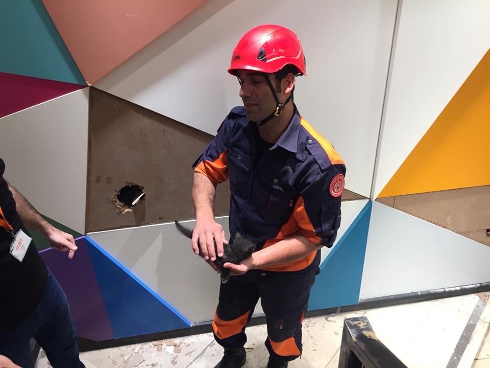 Haber Detay Görseli