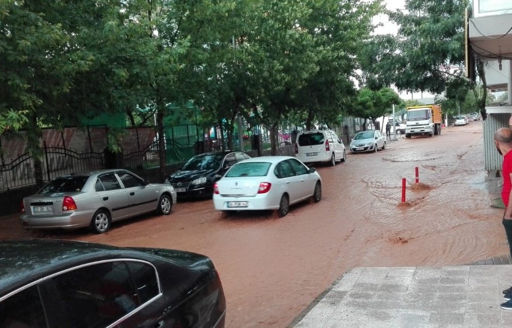 Haber Detay Görseli