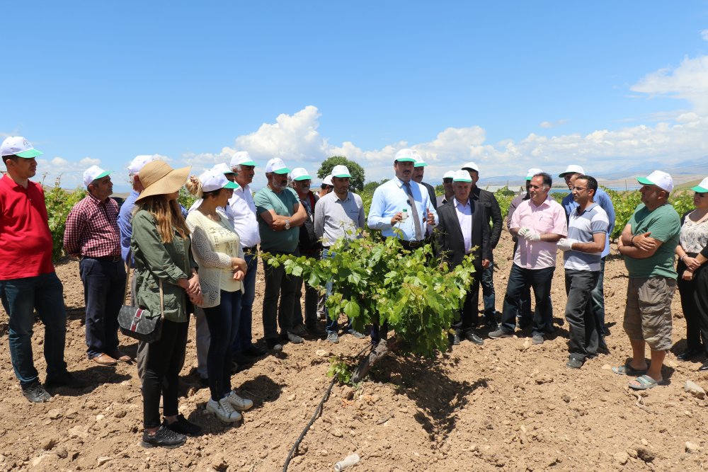 Haber Detay Görseli