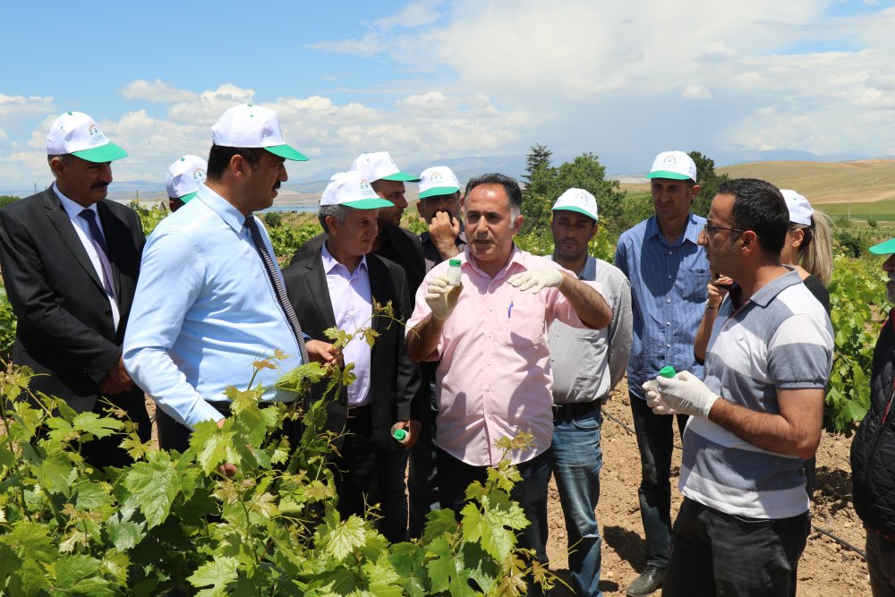 Haber Detay Görseli