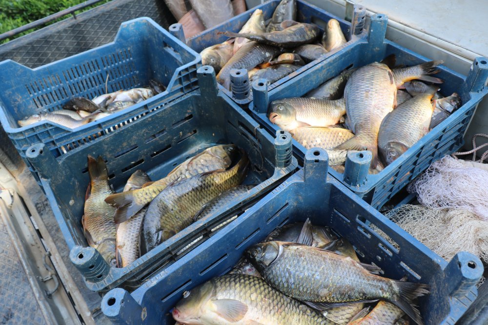 Haber Detay Görseli