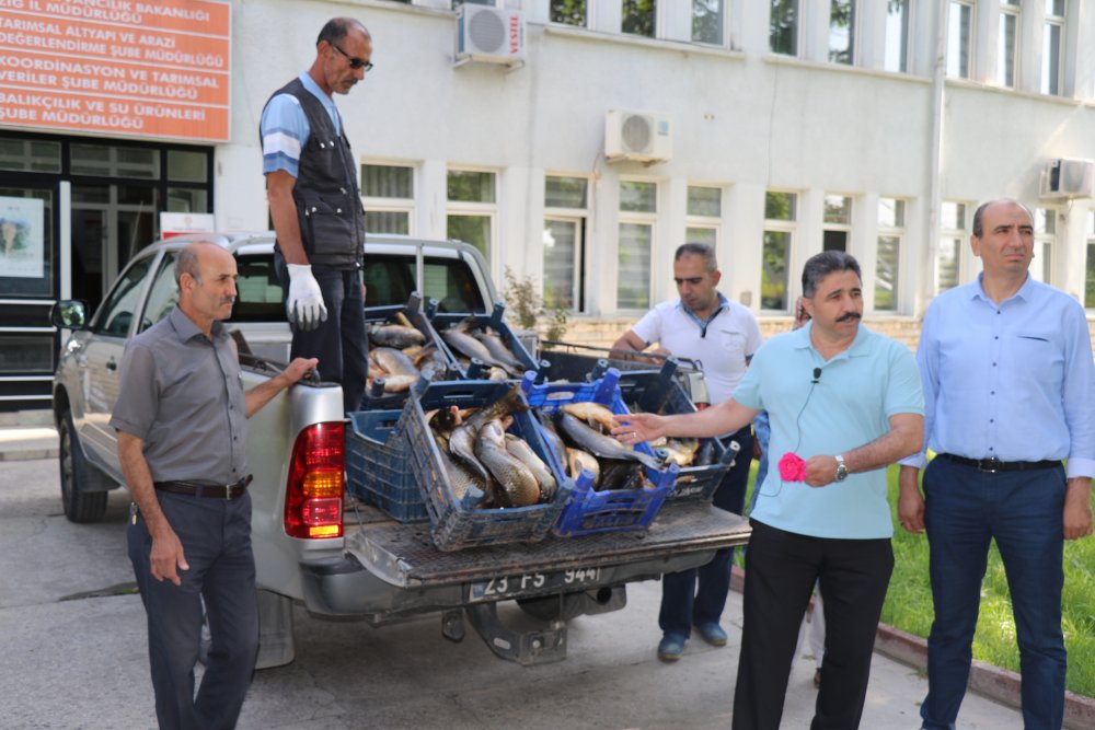 Haber Detay Görseli