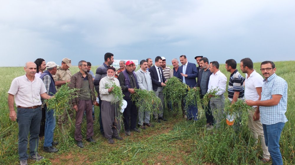 Haber Detay Görseli