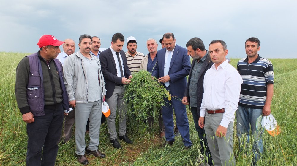 Haber Detay Görseli