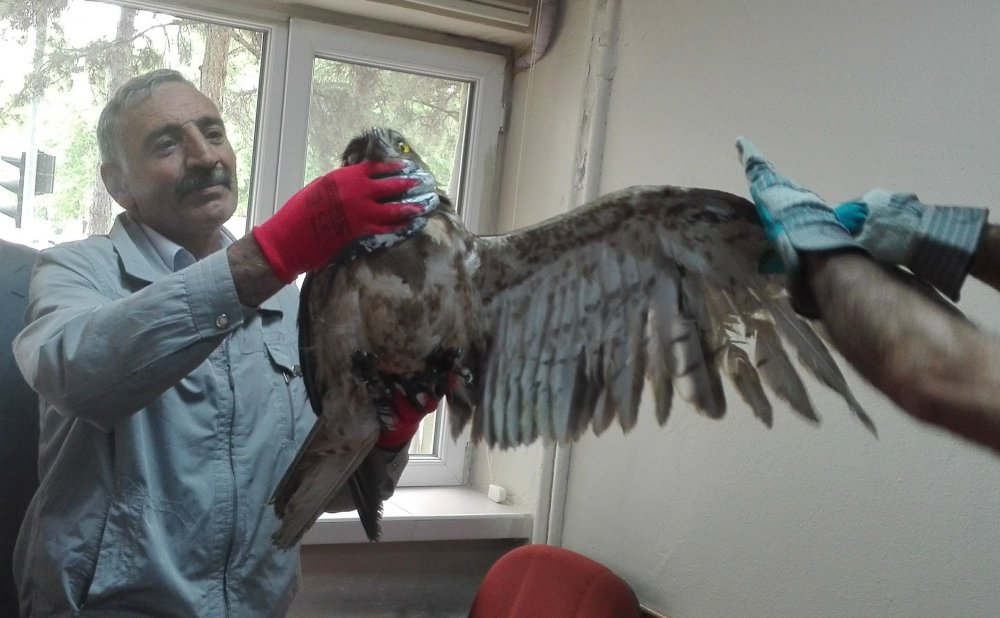 Haber Detay Görseli