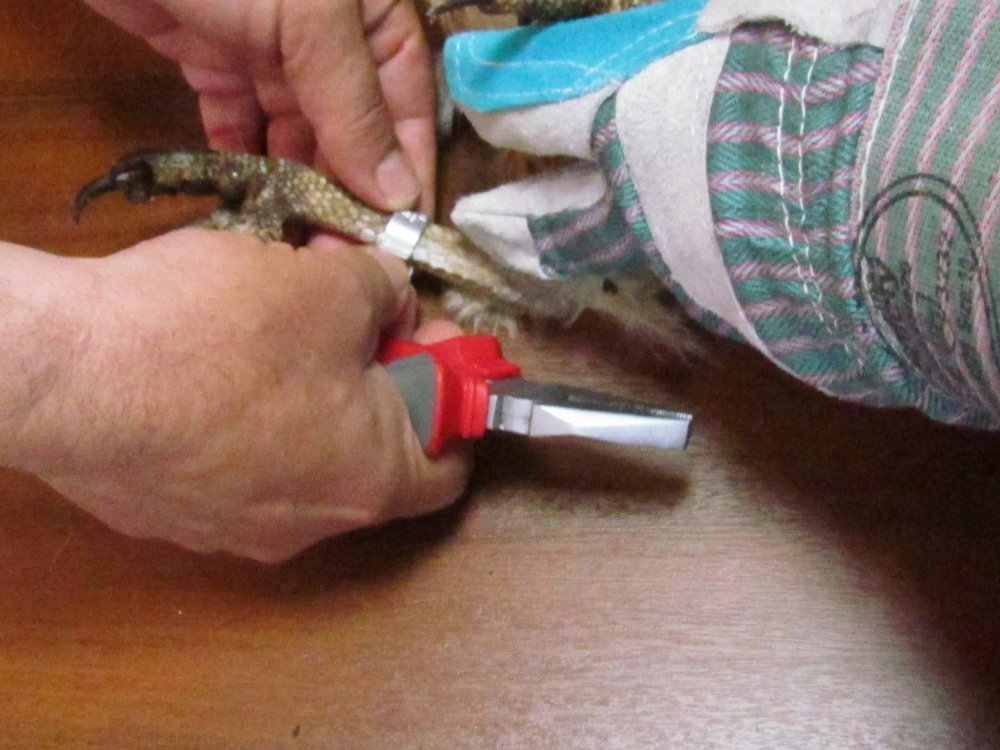 Haber Detay Görseli