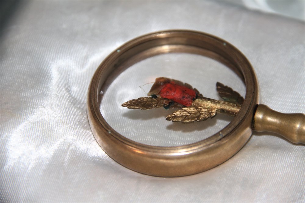 Haber Detay Görseli