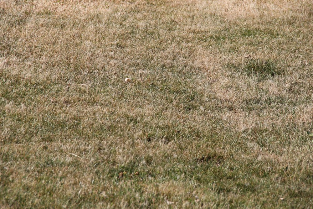 Haber Detay Görseli