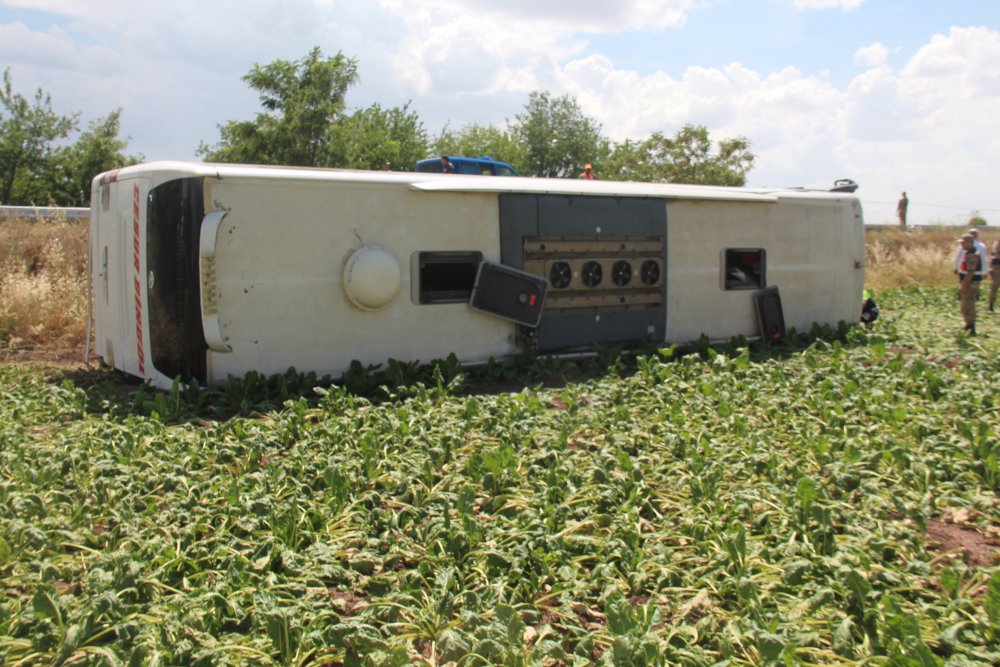 Haber Detay Görseli