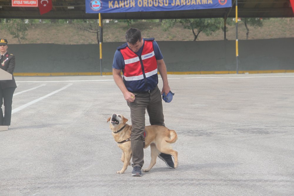 Haber Detay Görseli