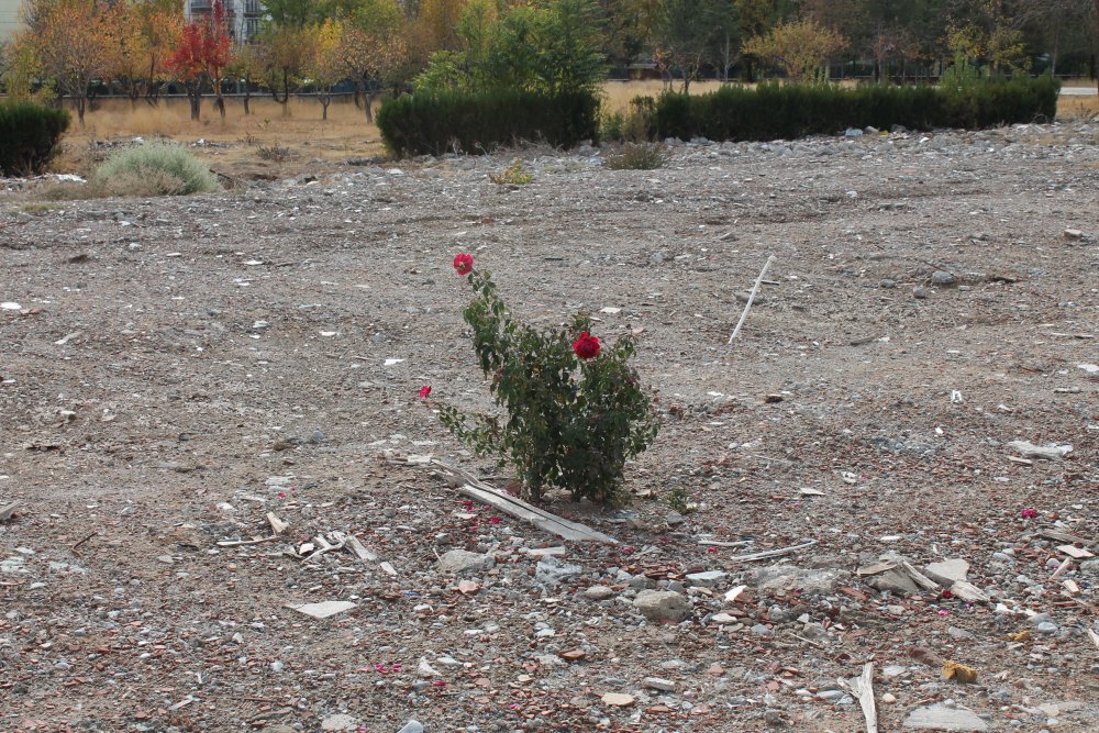 Haber Detay Görseli