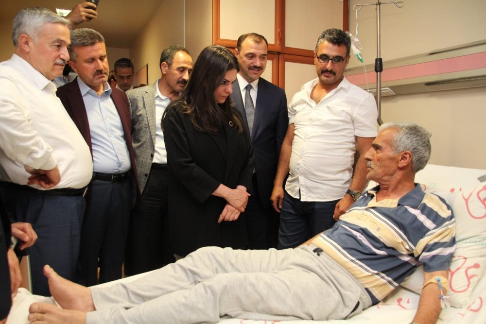 Haber Detay Görseli