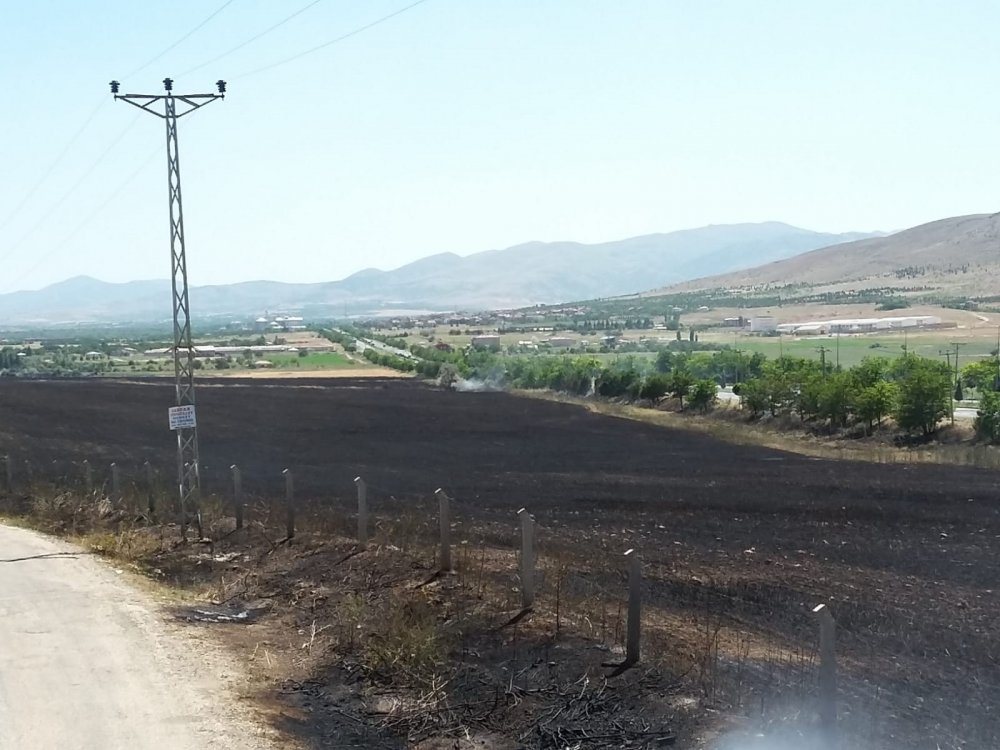 Haber Detay Görseli