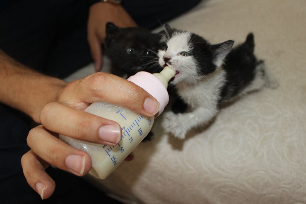 Haber Detay Görseli