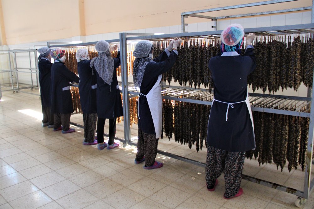 Haber Detay Görseli