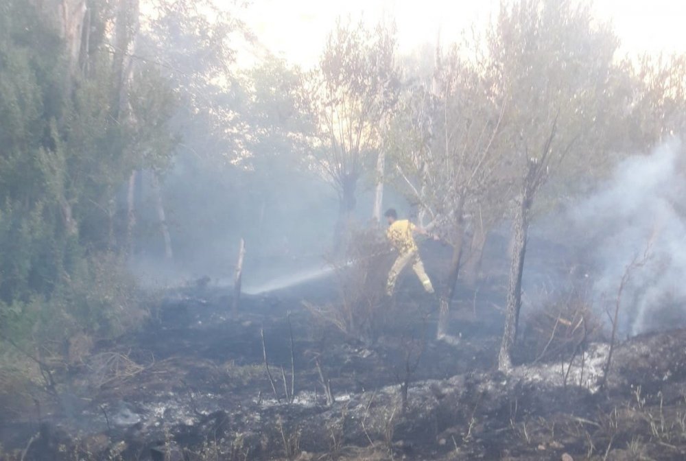 Haber Detay Görseli