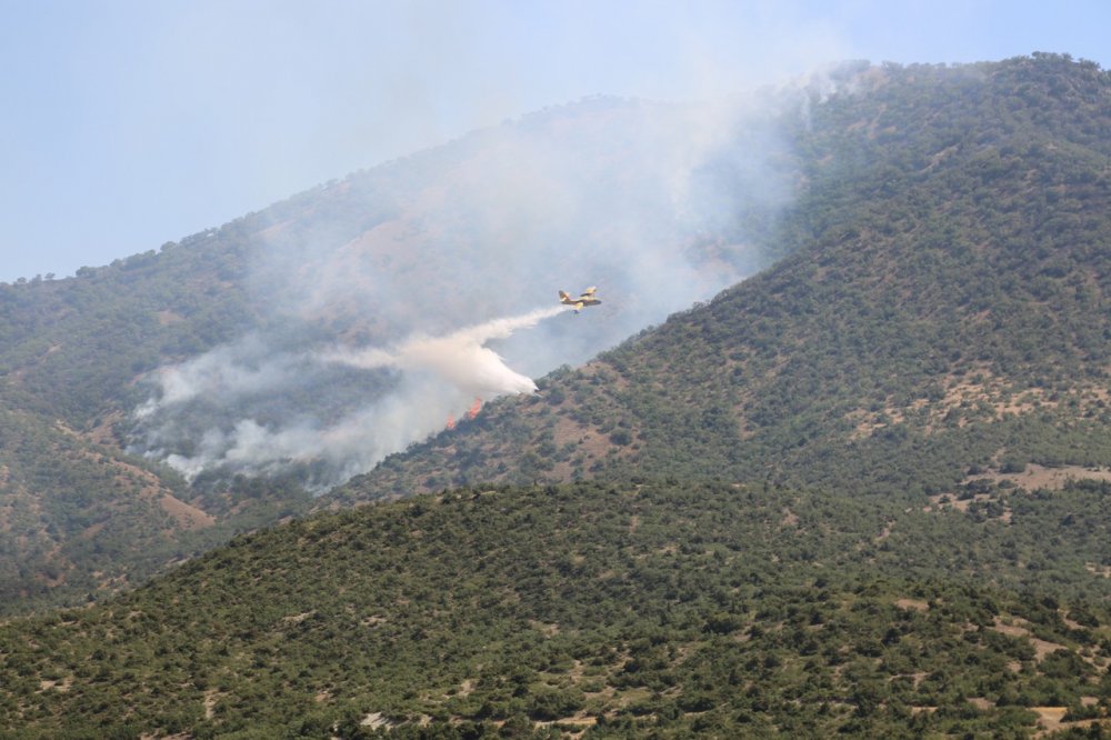 Haber Detay Görseli