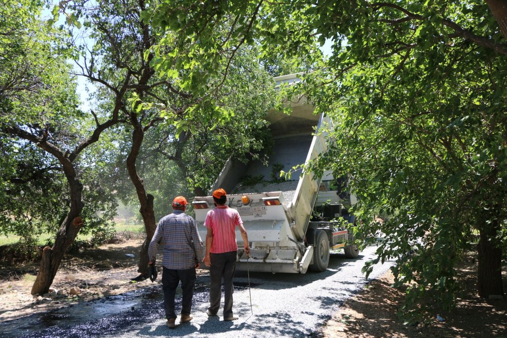 Haber Detay Görseli