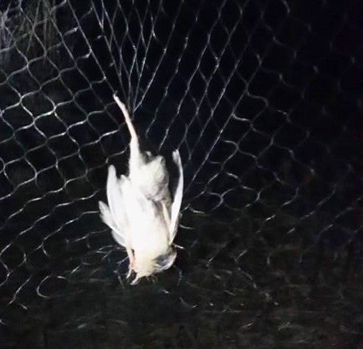 Haber Detay Görseli