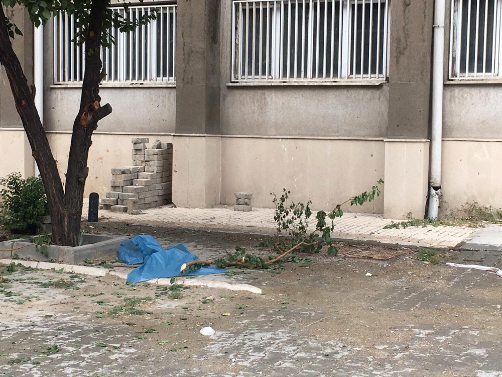 Haber Detay Görseli