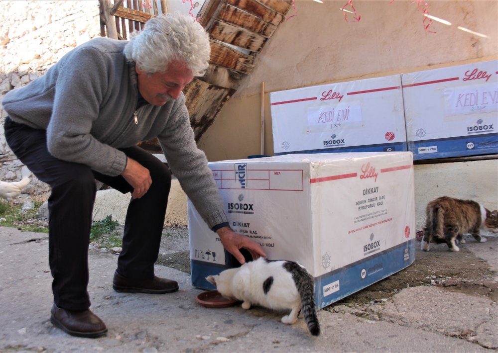 Haber Detay Görseli