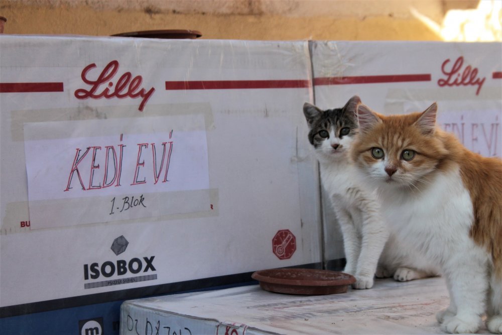 Haber Detay Görseli